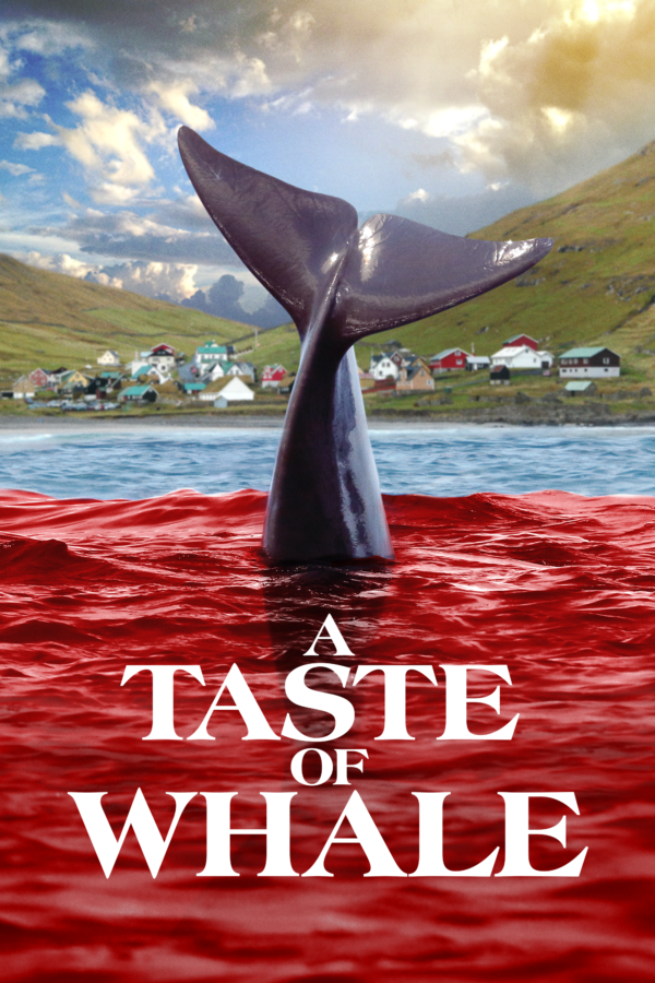 A Taste of Whale